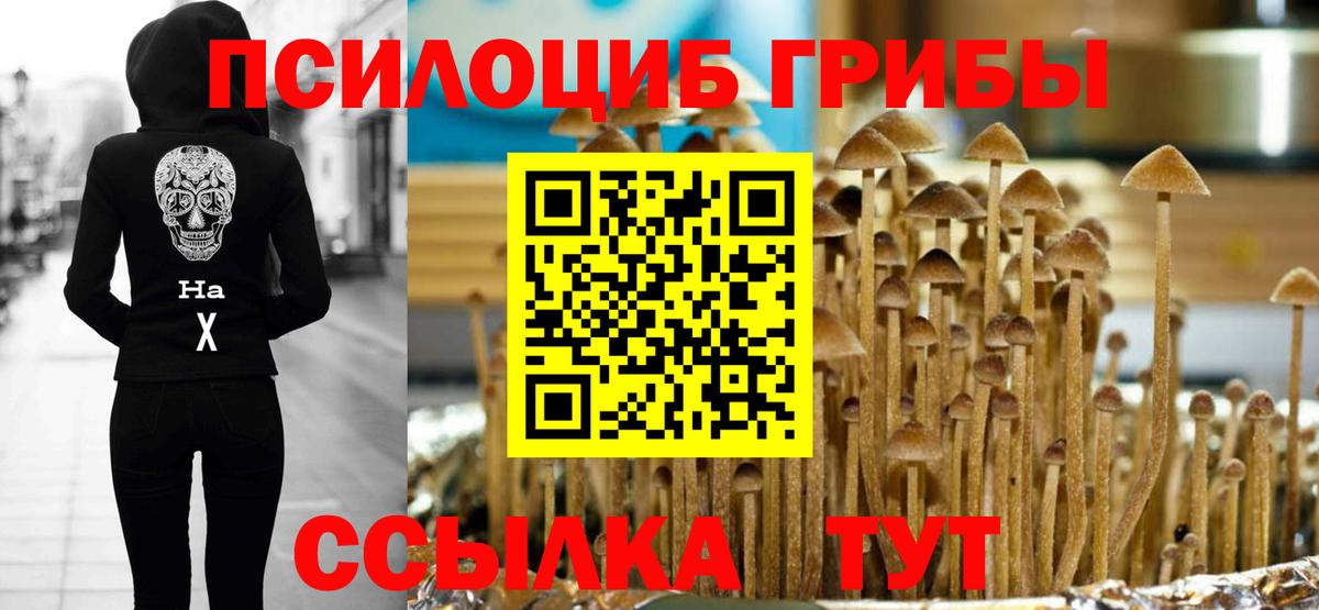 Галлюциногенные грибы MAGIC MUSHROOMS Черняховск